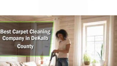 Best-Carpet-Cleaning-Company-In-Dekalb-County-1024x943-1-750x450-1