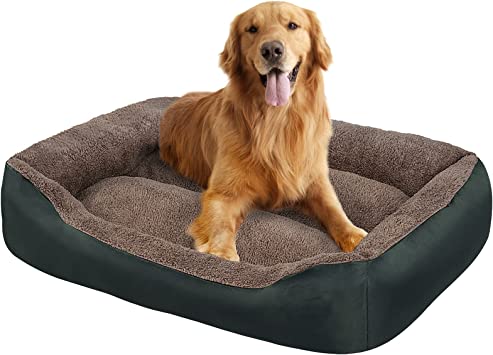 How to Select the Best Dog Bed for Your Pet
